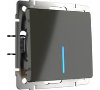 Одноклавишный проходной выключатель WERKEL WL07 SW 1G 2W LED с подсветкой a029869