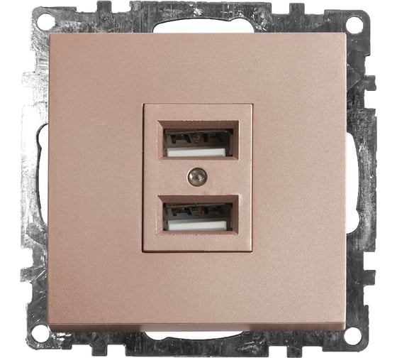 2-местная USB розетка (механизм) STEKKER GLS10-7115-02, 250B, 2,4А, серия Катрин, шампань 39602