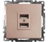 2-местная USB розетка (механизм) STEKKER GLS10-7115-02, 250B, 2,4А, серия Катрин, шампань 39602 1