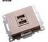 2-местная USB розетка (механизм) STEKKER GLS10-7115-02, 250B, 2,4А, серия Катрин, шампань 39602 9