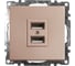 2-местная USB розетка (механизм) STEKKER GLS10-7115-02, 250B, 2,4А, серия Катрин, шампань 39602 1