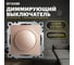 Диммирующий выключатель STEKKER TRIAC (механизм), GLS10-7106-02, 250V, 500W, серия Катрин, шампань 39601 2