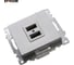 2-местная USB розетка STEKKER (механизм), GLS10-7115-03, 250B, 2,4А, серия Катрин, серебро 39588 10