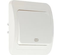 Выключатель LUAZON Lighting "ЕКБ", 10 А, 1 клавиша, с подсветкой, белый 3092330