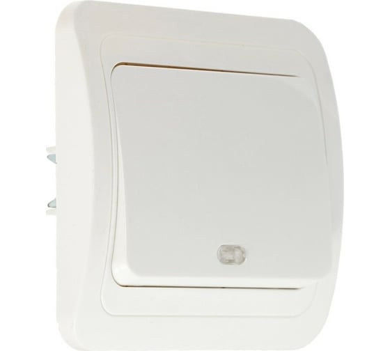 Выключатель LUAZON Lighting "ЕКБ", 10 А, 1 клавиша, с подсветкой, белый 3092330