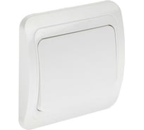 Выключатель LUAZON Lighting "ЕКБ", 10 А, 1 клавиша, белый 3092328
