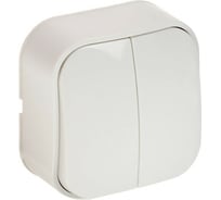 Выключатель LUAZON Lighting "МСК", 10 А, 2 клавиши, белый 3092292