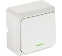 Выключатель LUAZON Lighting "СПБ", 10 А, 1 клавиша, с подсветкой, белый 3092310