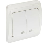 Выключатель LUAZON Lighting "ЕКБ", 10 А, 2 клавиши, скрытый, с подсветкой, белый 3092334