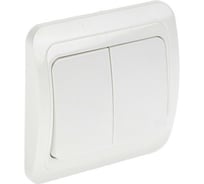 Выключатель LUAZON Lighting "ЕКБ", 10 А, 2 клавиши, белый 3092332