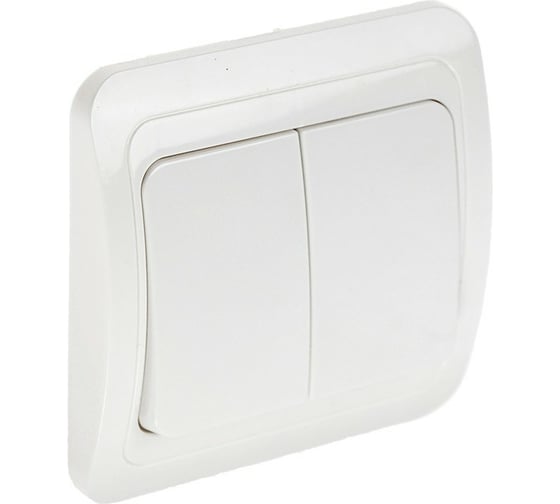 Выключатель LUAZON Lighting "ЕКБ", 10 А, 2 клавиши, белый 3092332 1