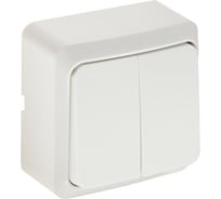 Выключатель LUAZON Lighting "СПБ", 10 А, 2 клавиши, белый 3092312