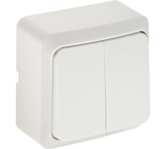 Выключатель LUAZON Lighting "СПБ", 10 А, 2 клавиши, белый 3092312 1