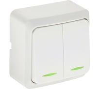 Выключатель LUAZON Lighting "СПБ", 10 А, 2 клавиши, накладной, c подсветкой, белый 3092314