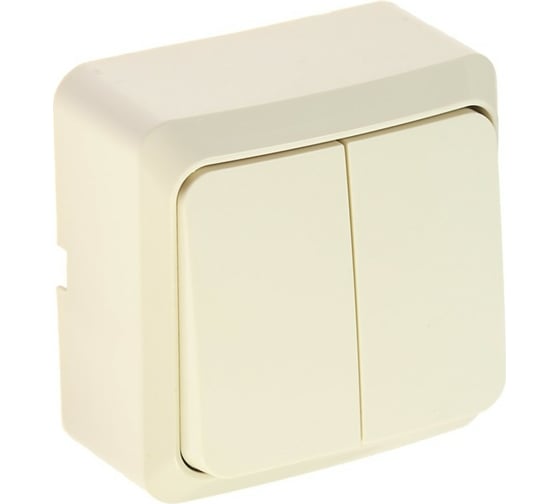 Выключатель LUAZON Lighting "СПБ", 10 А, 2 клавиши, накладной, бежевый 3092313 1