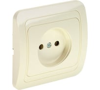 Одноместная розетка LUAZON Lighting "ЕКБ", 10 А, скрытая, без з/к, бежевая 3092337