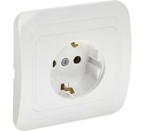 Одноместная розетка LUAZON Lighting "ЕКБ", 16 А, с з/к, белая 3092338