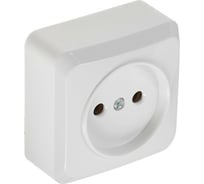 Одноместная розетка LUAZON Lighting "СПБ", 10 А, без з/к, белая 3092316