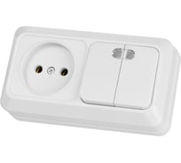 Комбинированный блок TDM ELECTRIC 2-клавишный выключатель с/п 10А + розетка 2П 10А 250В БКВР IP20 белый "Ладога" SQ1801-0108