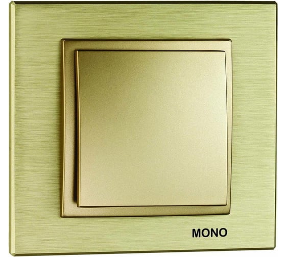 Рамка Mono Electric 1-постовая STYLE ALUMINIUM титан-шампань 107-830000-160 1
