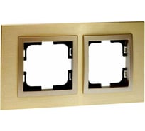 Рамка Mono Electric 2-постовая STYLE ALUMINIUM титан-шампань 107-830000-161
