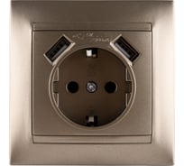 Розетка с заземлением 16А 250В + 2 USB порта 2,1А 5В бронза серия "Лама" TDM ELECTRIC SQ1815-0742