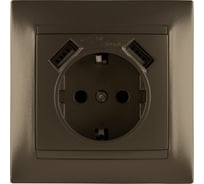 Розетка с заземлением 16А 250В + 2 USB порта 2,1А 5В бронза серия "Лама" TDM ELECTRIC SQ1815-0742