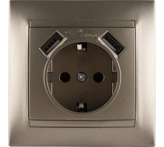 Розетка TDM ELECTRIC Лама 2П+З 16А 250В + 2 USB порта 2,1А 5В, бронза SQ1815-0742
