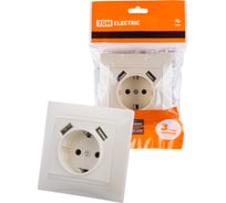 Розетка TDM ELECTRIC Лама 2П+З 16А 250В + 2 USB порта 2,1А 5В слоновая кость SQ1815-0142
