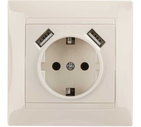 Розетка TDM ELECTRIC Лама 2П+З 16А 250В + 2 USB порта 2,1А 5В слоновая кость SQ1815-0142