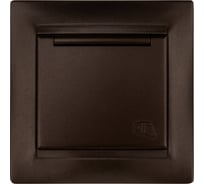 Розетка TDM ELECTRIC Лама 2П+З 16А 250В IP44 с крышкой шоколад SQ1815-0526