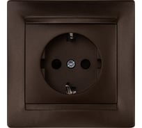 Розетка 2П+З 16А 250В с защитными шторками TDM ELECTRIC шоколад, серия "Лама" SQ1815-0511