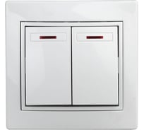 Двухклавишный выключатель Intro Plano с подсветкой, 10А-250В, IP20, СУ, белый, Б0053773