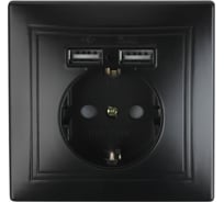 Розетка Intro Plano с заземлением 2P+E Schuko со шторками, 2хUSB 5В-2,1А, IP20, СУ, антрацит, Б0053946