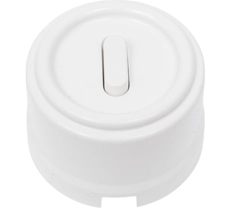 Выключатель Bironi 1-кл., пластик, цвет Белый (клавишный) B1-220-21