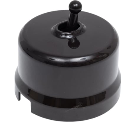 Выключатель Bironi 1-кл. проходной, пластик, цвет Коричневый (тумблерный) B1-231-22