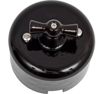 Выключатель Bironi 1кл. проходной R, керамика, цвет коричневый R1-211-02