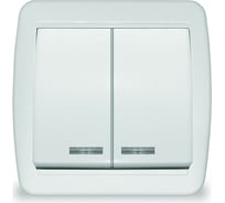 Двухклавишный выключатель UNIVersal Клио с подсветкой, IP44, открытой устанвоки, 10А, 220В, белый еврослот К2227