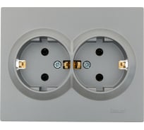 Двойная розетка Lezard VESNA с заземлением, керамика, платина 742-3500-127