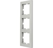 3-ая вертикальная рамка Lezard VESNA без вставки, платина 742-3500-153