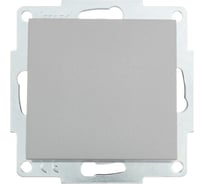 Выключатель Lezard VESNA платина 742-3588-100