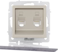 Двойная компьютерная розетка Lezard VESNA титан 742-3788-141