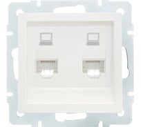 Двойная компьютерная розетка Lezard VESNA жемчужно-белый перламутр 742-3088-141