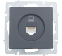 Компьютерная розетка Lezard VESNA графит 742-3488-139