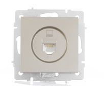 Компьютерная розетка Lezard VESNA титан 742-3788-139