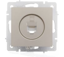 Компьютерная розетка Lezard VESNA титан 140 742-3788-140