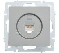 Компьютерная розетка Lezard VESNA платина 742-3588-139