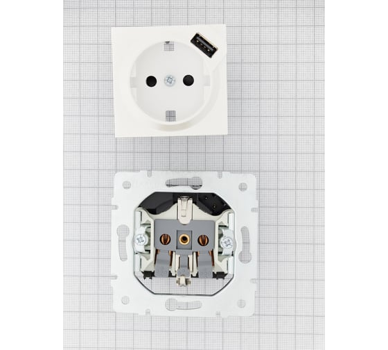 Розетка Lezard VESNA с/з + USB разъём жемчужно-белый перламутр 742-3088-181