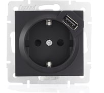 Розетка Lezard VESNA с/з + USB разъём чёрный бархат 742-4288-181