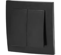 Выключатель ЮПИТЕР двухклавишный скрытый Стандарт черный JP7423-06